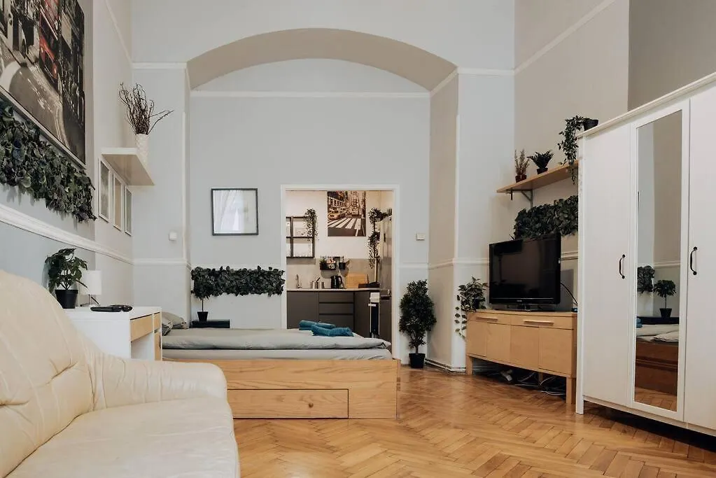 Big Apartment In The City Centre Budapešť