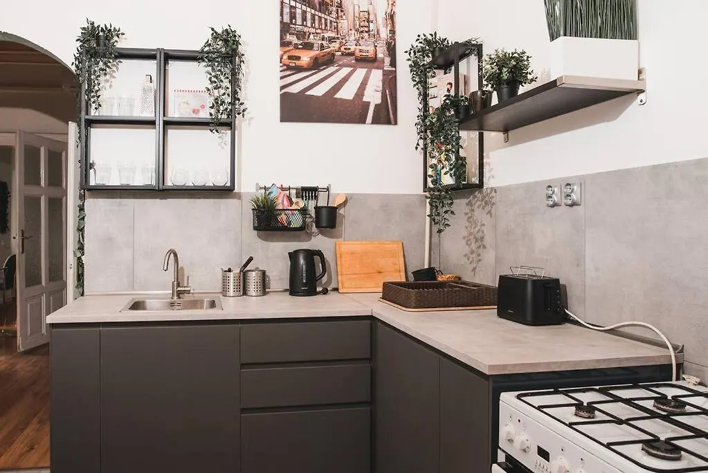 Big Apartment In The City Centre Budapešť Maďarsko