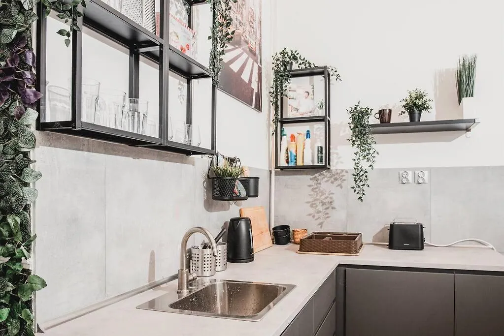 Big Apartment In The City Centre Budapest